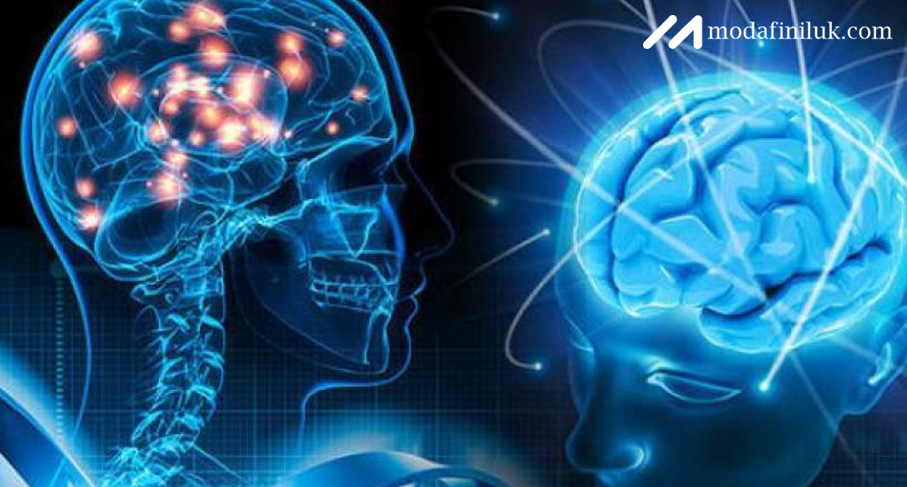 Modafinil Tablets Give your Mind an Overhaul